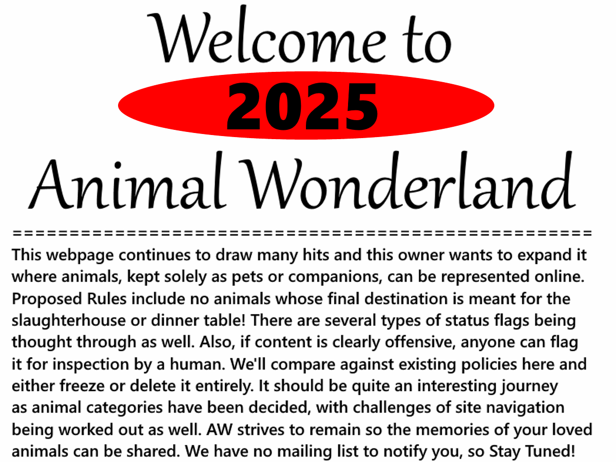 Animal Wonderland - A future launch. Stay Tuned!